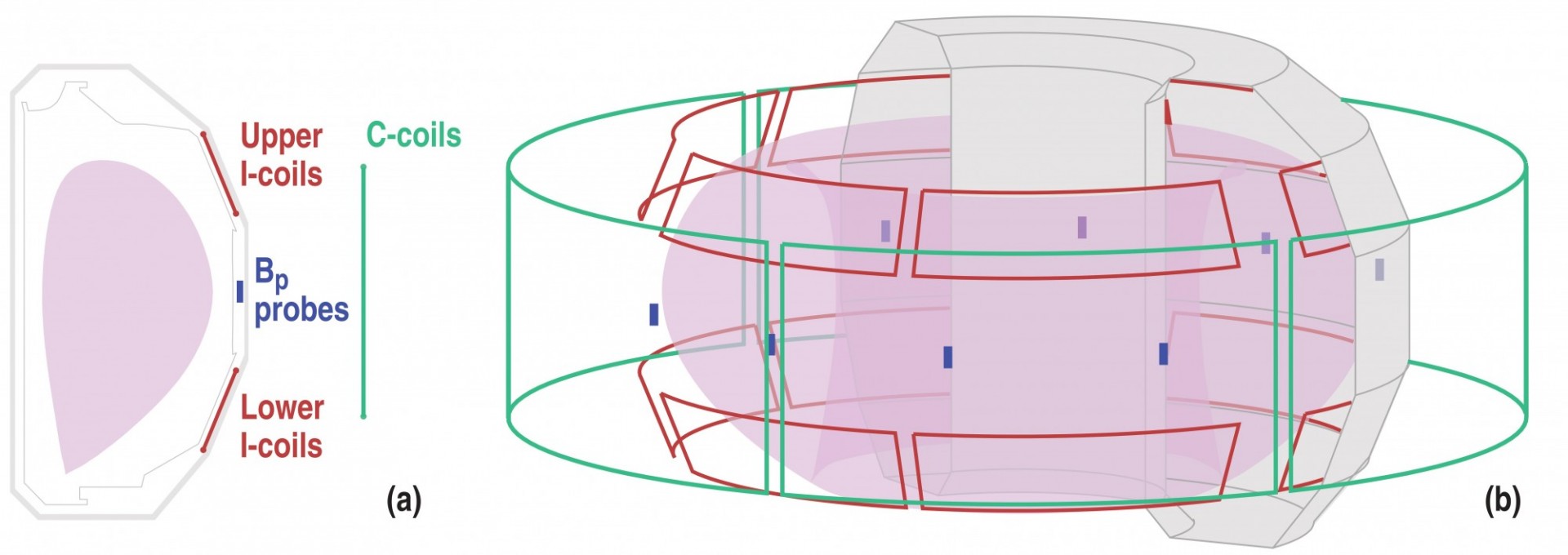 Control Coils on DIII-D DIII-D RWM feedback and Error Field Correction (EFC) can take advantage of either the external C-Coils or internally located I-Coils to allow for greater experimental flexibility.
