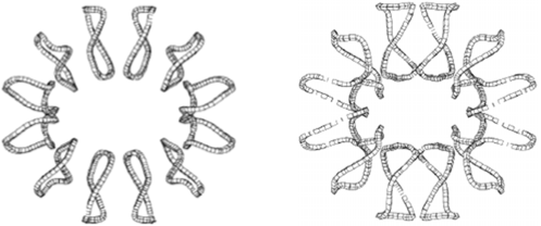 Example stellarator coil geometries designed by Columbia researchers Example stellarator coil geometries designed by Columbia researchers