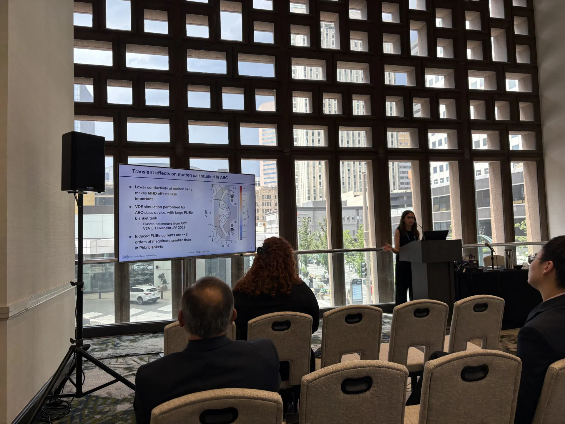 Sophia Guizzo presenting coupled magnetohydrodynamic modeling
