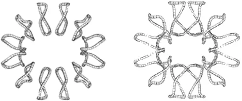 Example stellarator coil geometries designed by Columbia researchers