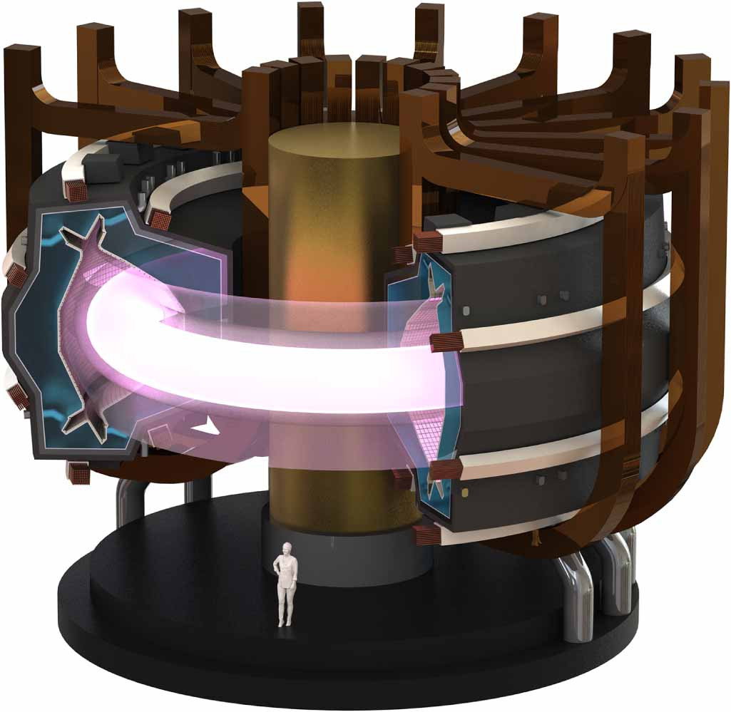 CAD of MANTA, a negative triangularity pilot plant designed by students from Columbia University and MIT